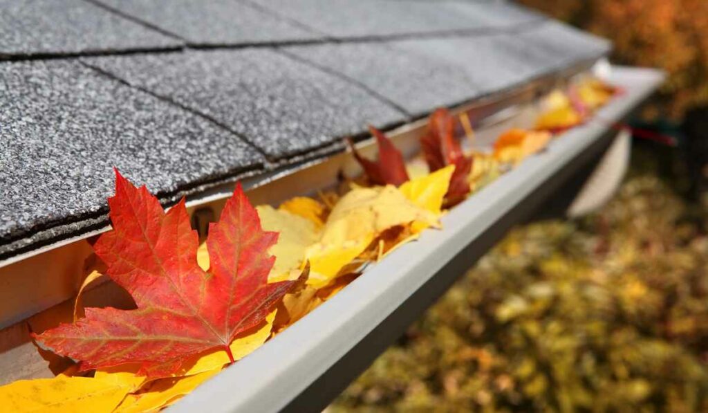 Top 10 Yard Work Tasks to Complete This Fall in Kingston